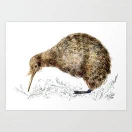 Aotearoa Art Prints For Any Decor Style Society6