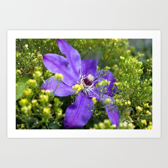 I like my tragedy to walk in purple and to be remote. Art Print