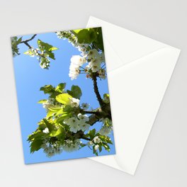 Apple Blossom Stationery Card