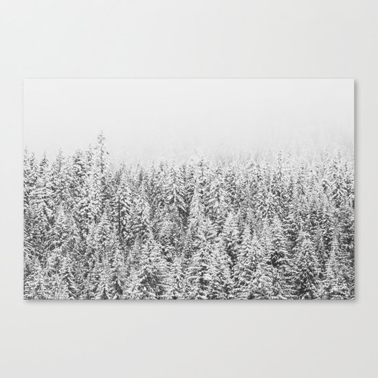 Frozen Winter Canvas Print
