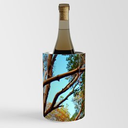 Madrone Wine Chiller