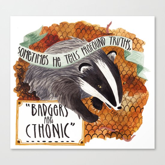 Badgers Canvas Print