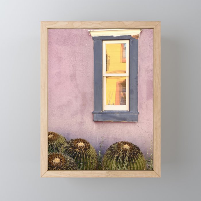 Yellow Reflections with Barrel Cactus :: Barrio Viejo Tucson Framed Mini Art Print