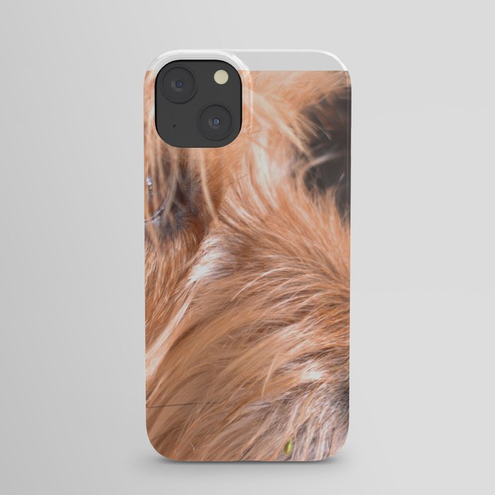 Doggy iPhone Case