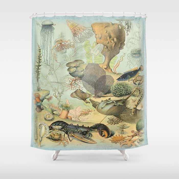 Ocean Ilration Shower Curtain, Sea Animal Shower Curtains