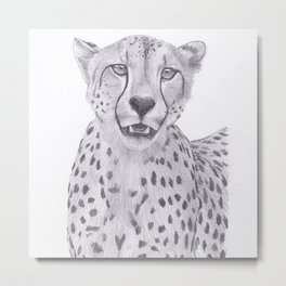 Cheetah Drawing Metal Print | Graphite, Animal, Tiger, Lion, Black and White, Spotted, Kitty, Illustration, Bigcat, Cute 