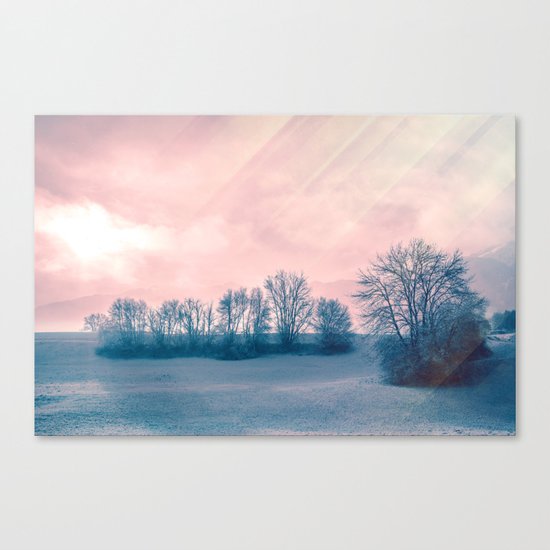 A Winter's Tale Canvas Print
