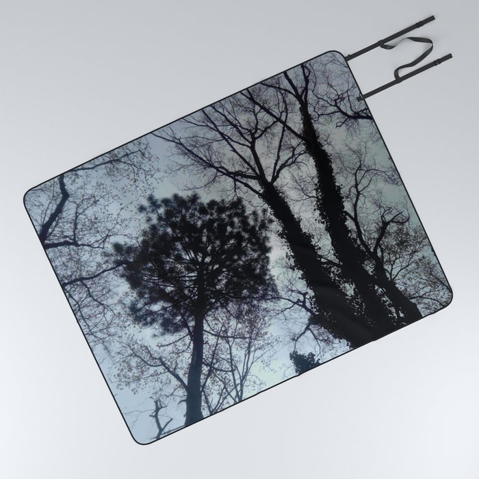 Sky and tree 3 Picnic Blanket