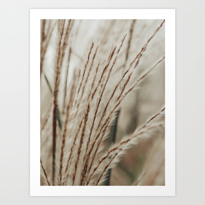 Neutral Botanical Abstract 2 x autumn plant photograph Art Print