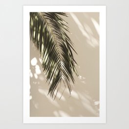 Palm Leaf Shadow Summer Art Print