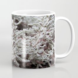 White tree Coffee Mug