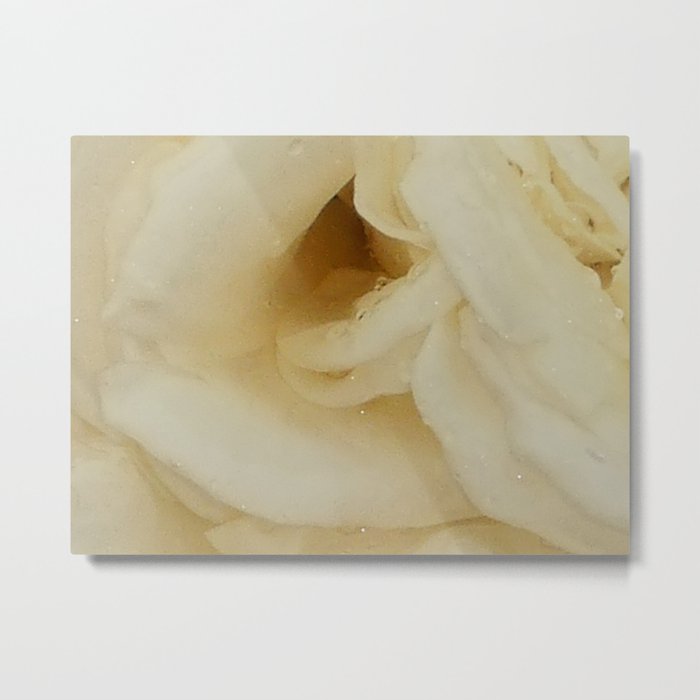 White Rose Reveries Metal Print