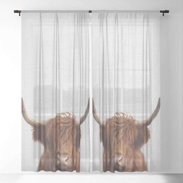 Highland Cow - Colorful Sheer Curtain