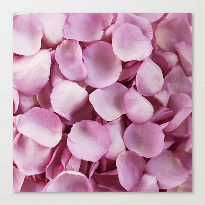 Purple Rose Petals Canvas Print By Rockyrivers Society6