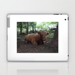 Fluffy Highland Cattle Cow 1185 Laptop Skin
