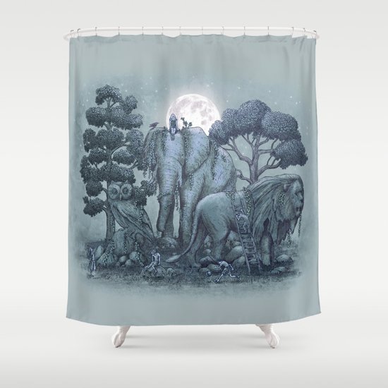Midnight in the Stone Garden (colour option) Shower Curtain