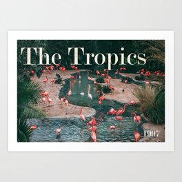 The Tropics Art Print