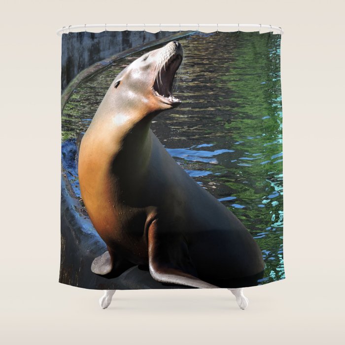 Sea Lion Shower Curtain By Zlaartdesigns Society6