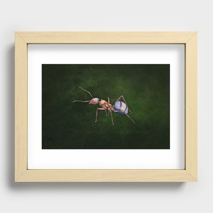 Formica (Wood Ant) Recessed Framed Print