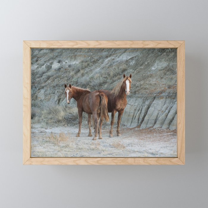 Wild Horses ii Framed Mini Art Print