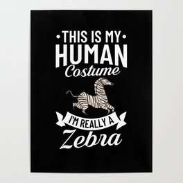 Zebra Animal Africa Stripes Mountain Plains Poster