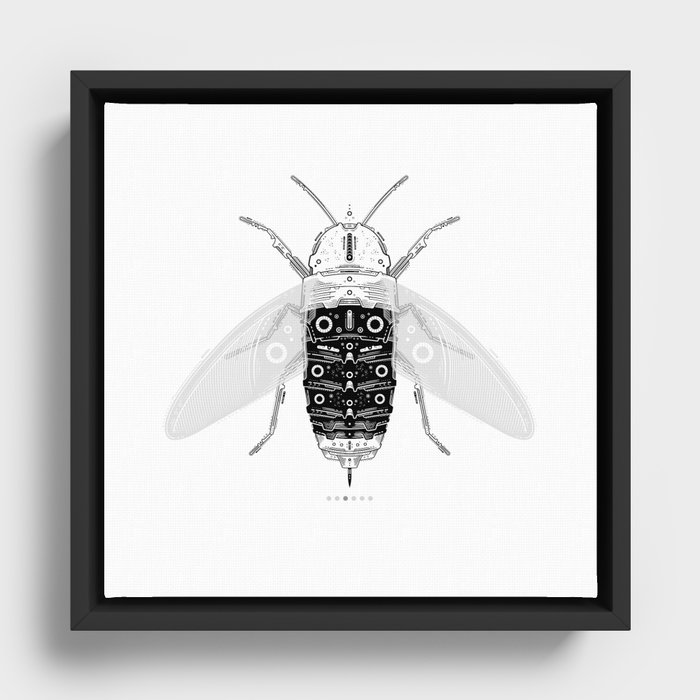 entomology 03. (iii) Framed Canvas