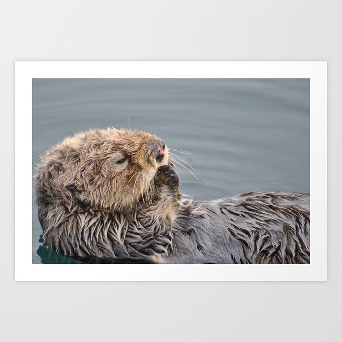 Why I otter.... Art Print