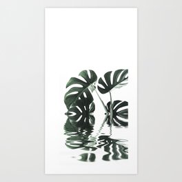 Monstera Leaves Reflecting In Water Minimalist Tropical Style Art Print