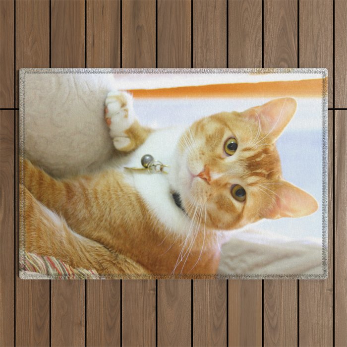 Sunshine the Orange Cat Outdoor Rug