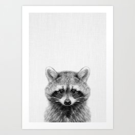 Baby Raccoon Art Print