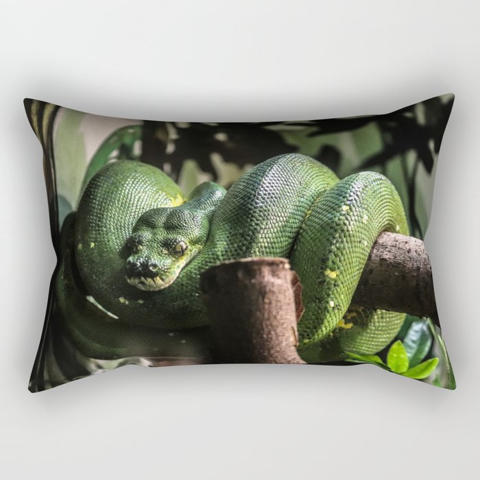 Snake Rectangular Pillow by strikingsnapshots | Society6