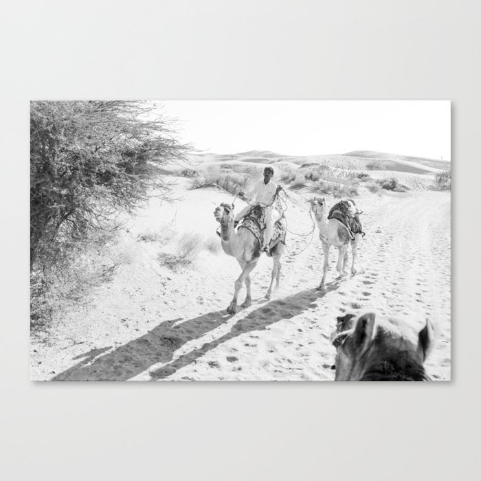 Jaisalmer Desert Camel Ride Canvas Print