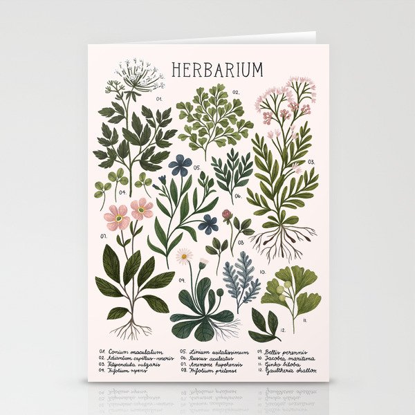 Herbarium ~ vintage inspired botanical art print ~ white Stationery Cards