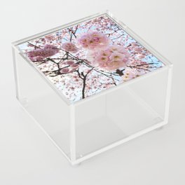 Cherry Blossom Season Acrylic Box