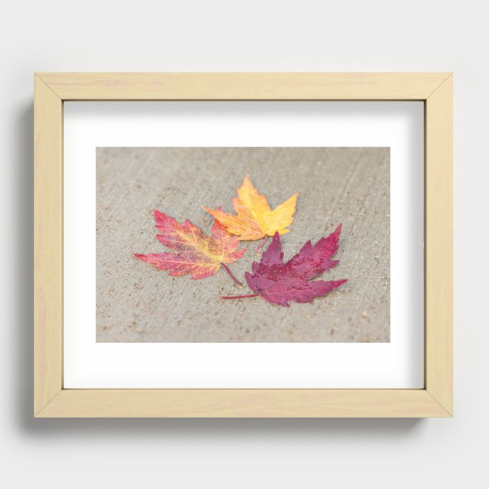 Colorful Fall Recessed Framed Print