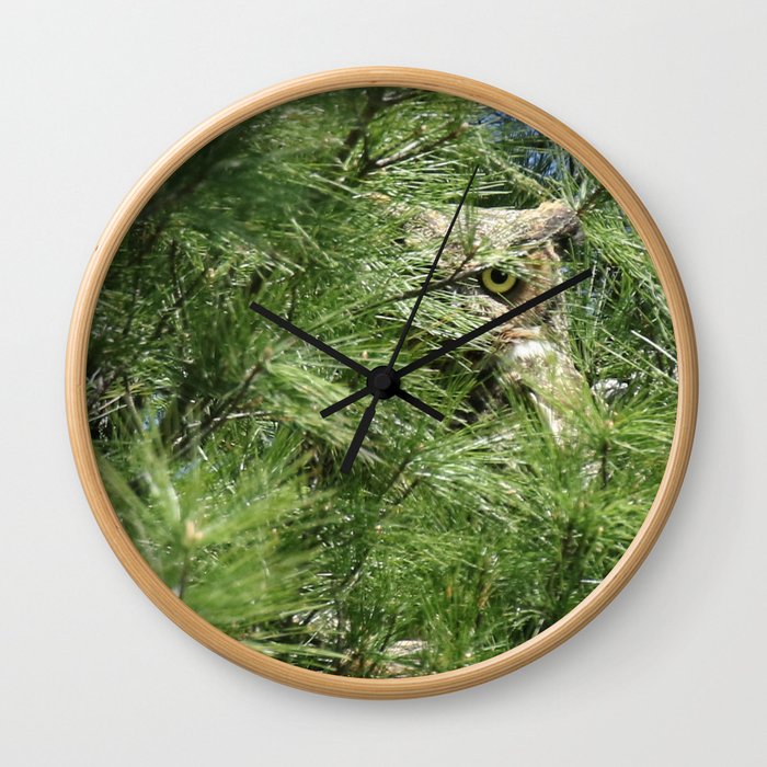 Can you find the owl Wall Clock