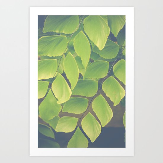 Fern Abstract Art Print