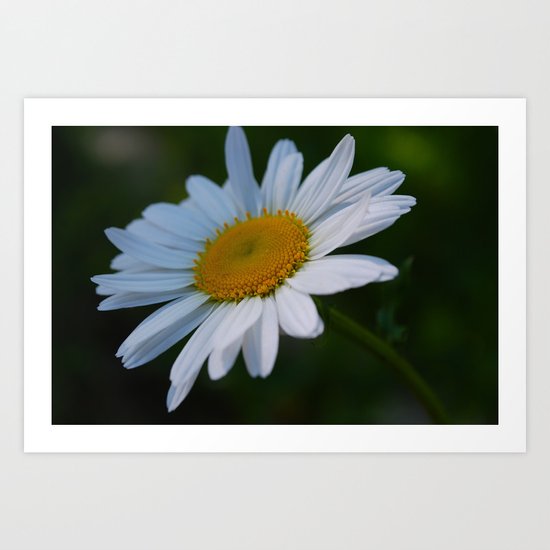 Photo 1 Art Print