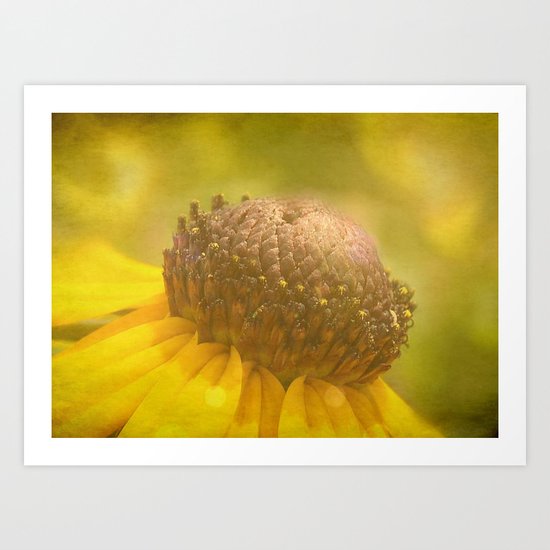 Yellow Art Print