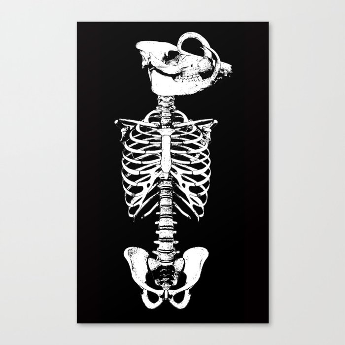 Jack in Irons: Skeleton Canvas Print