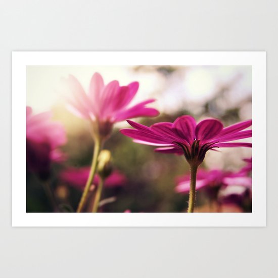 Falling in Love Art Print