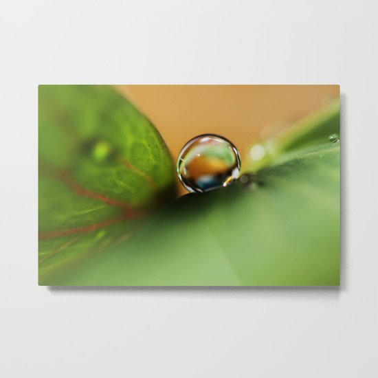 Columbine Droplet Metal Print