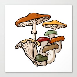 Late Summer (Lammas) Mushrooms Canvas Print