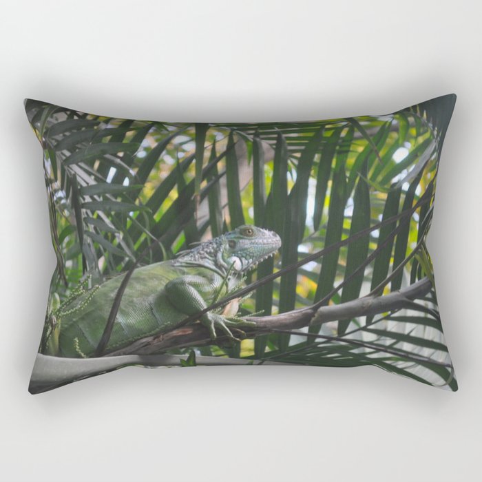 Mexico Photography - Green Iguana Camouflaged In The Leaves Rectangular Pillow
