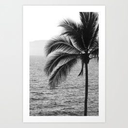 Palm Trees #648 Art Print