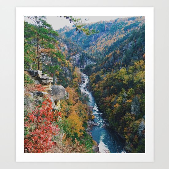 Fall Creek Art Print