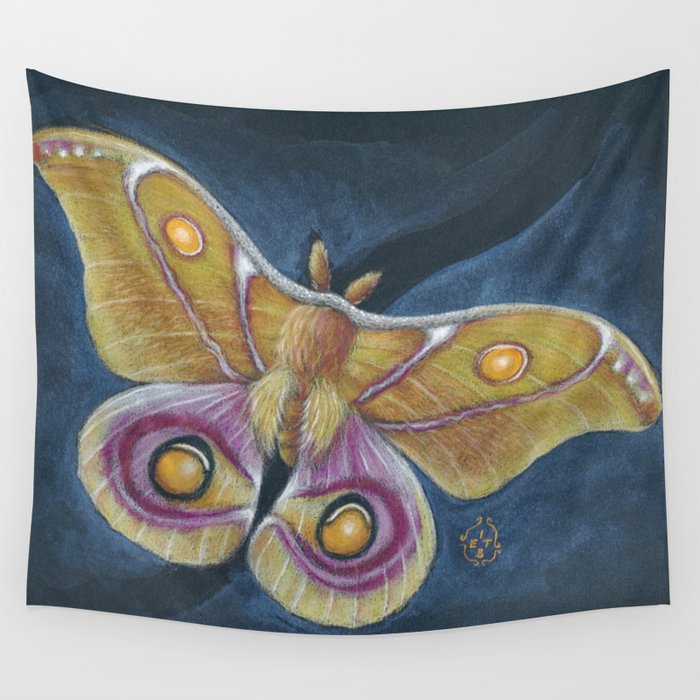 Bull’s Eye Madagascar Silk Moth Mixed Media Art Wall Tapestry
