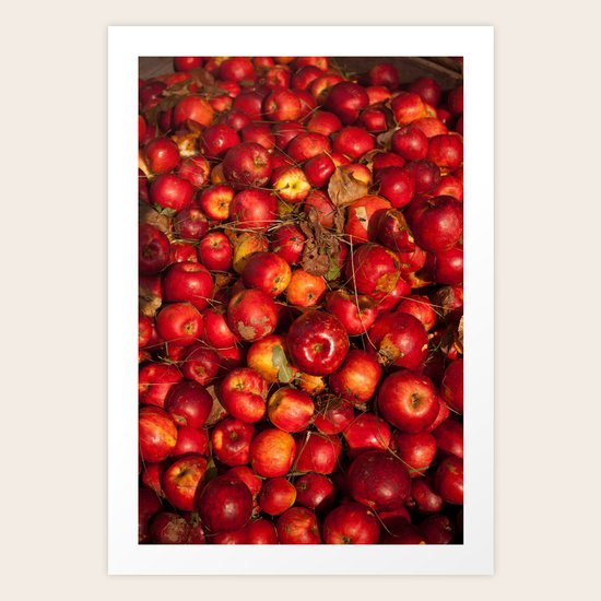 Fall Harvest Art Print