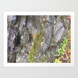 Moss G ranite Art Print