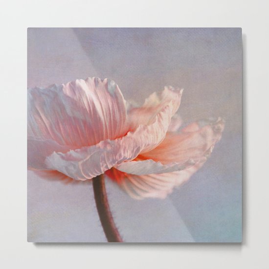 Sol Metal Print